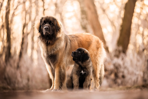 �1756290 �������(a): ����������:2048x1365